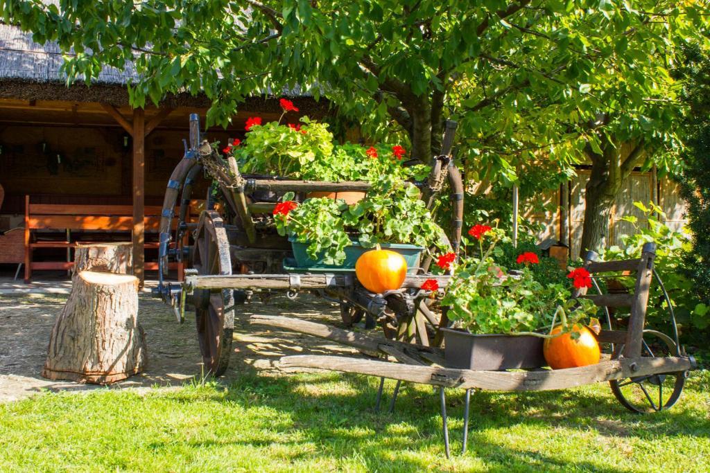 Kaktusz Villa Héviz Zewnętrze zdjęcie