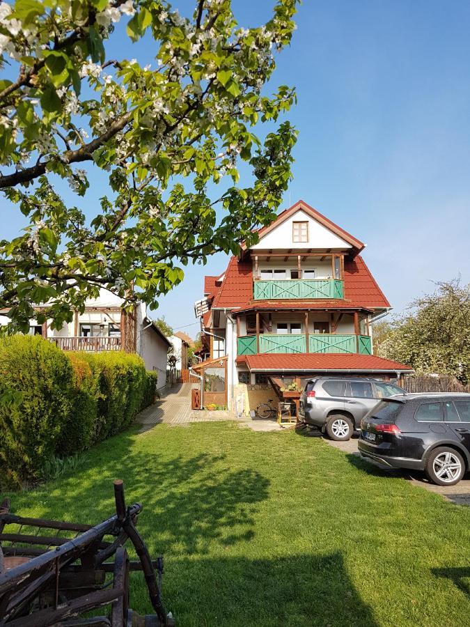 Kaktusz Villa Héviz Zewnętrze zdjęcie